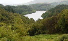 Queen Elizabeth Forest Park,Trossachs,Scotland