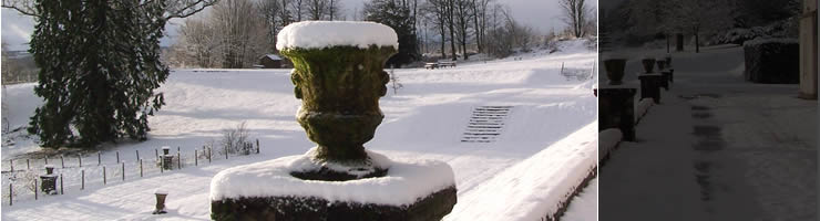 The house grounds in winter